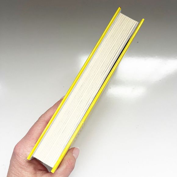 The Jetsetters - a Novel by Amanda Eyre Ward - Hardcover - Picture 5 of 6